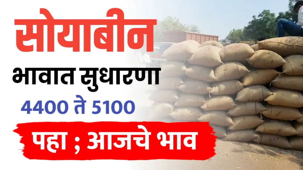 Soyabin bajar-bhav ; सोयाबीन भाव वाढले,पहा सध्या काय भाव मिळतोय..