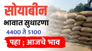 Soyabin bajar-bhav ; सोयाबीन भाव वाढले,पहा सध्या काय भाव मिळतोय..