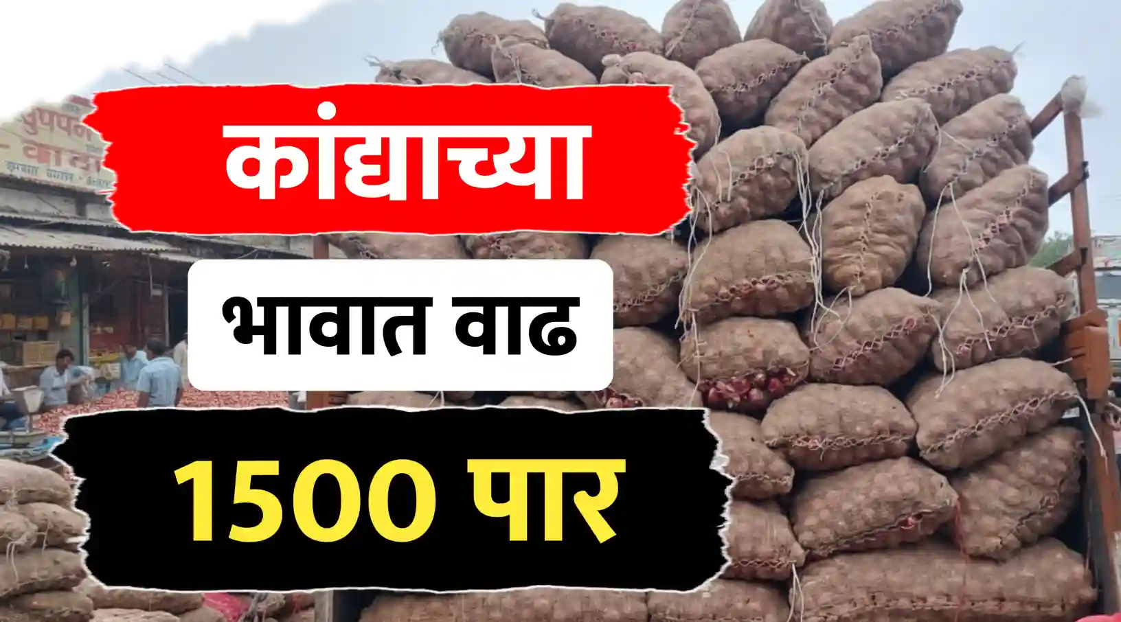 कांदा भावात मोठी वाढ, पहा आजचे ताजे कांदा भाव