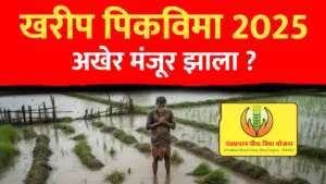खरीप पीक विमा २०२५ मंजूर ; किती मिळनार ?