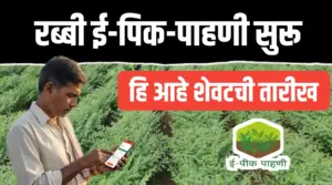 रब्बी ई पीक पाहणीची प्रक्रिया सुरू ; पहा काय आहे प्रक्रिया आणि शेवटची तारीख