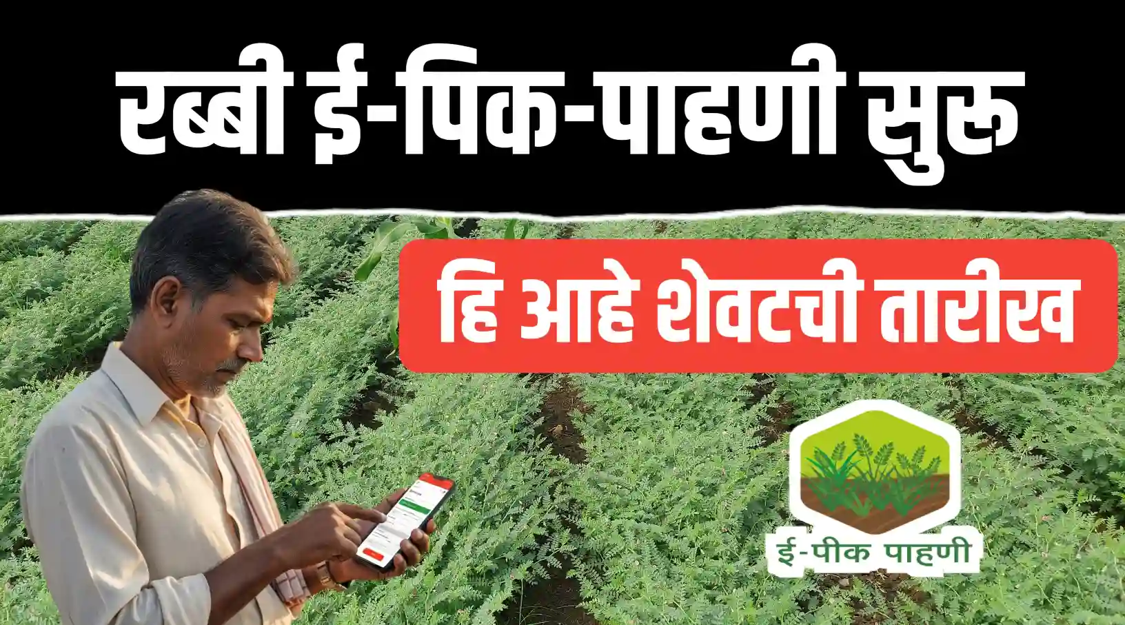 ई पीक पाहणीची