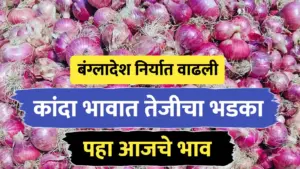 कांदा बाजारात तेजीचा भडका! कांद्याने ओलांडला ४००० चा टप्पा, शेतकऱ्यांना मोठा दिलासा!