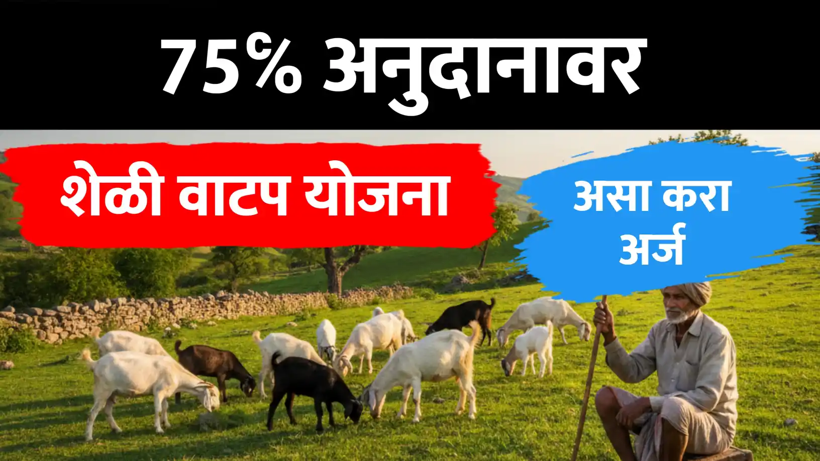 ७५% अनुदानावर शेळी