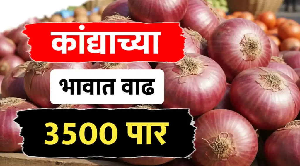 कांदा बाजारात अखेर तेजीचा जोरदार भडका, दरांनी ४००० रुपयांचा टप्पा ओलांडला