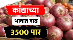 कांदा बाजारात तेजीचा भडका! कांद्याने ओलांडला ४००० चा टप्पा, शेतकऱ्यांना मोठा दिलासा!