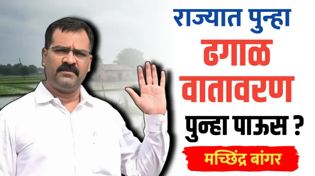 राज्यात पुन्हा ढगाळ वातावरण..आवकाळी पाऊस? मच्छिंद्र बांगर यांचा हवामान अंदाज