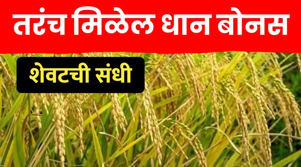 आधारभूत किंमत धान खरेदी योजना २०२५-२६: नोंदणीसाठी मुदतवाढ