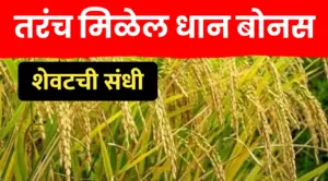 आधारभूत किंमत धान खरेदी योजना २०२५-२६: नोंदणीसाठी मुदतवाढ