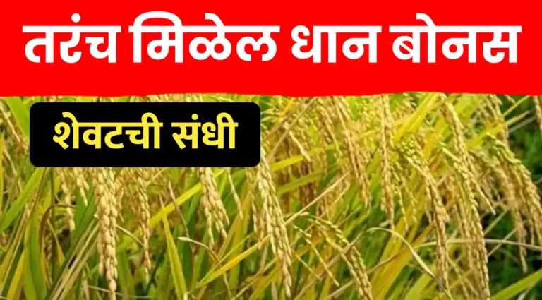 आधारभूत किंमत धान खरेदी योजना २०२५-२६: नोंदणीसाठी मुदतवाढ