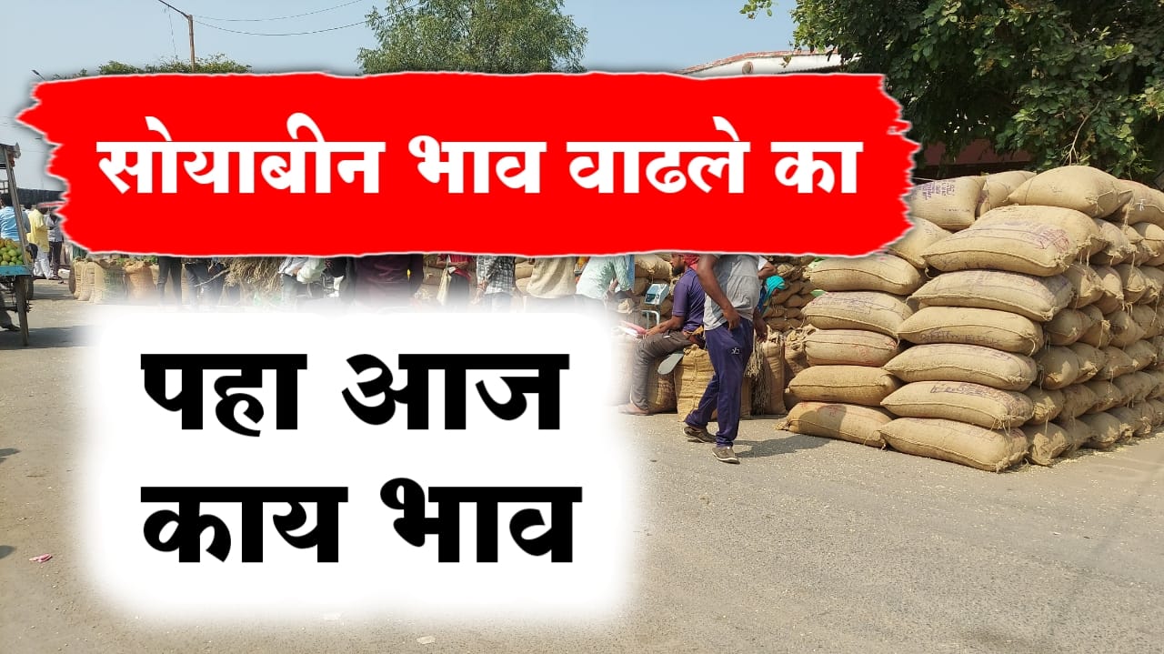 सोयाबीन भाव मोठी वाढ, पहा सध्या काय भाव मिळतोय...