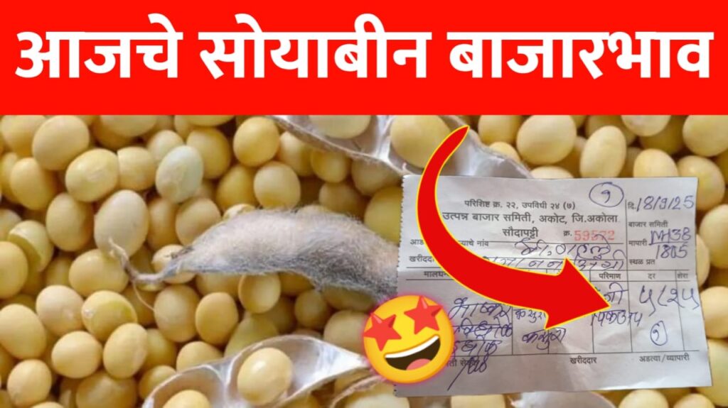 सोयाबीनच्या भावात मोठा बदल, पहा आजचे ताजे सोयाबीन बाजारभाव
