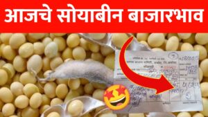 सोयाबीनच्या भावात मोठा बदल, पहा आजचे ताजे सोयाबीन बाजारभाव