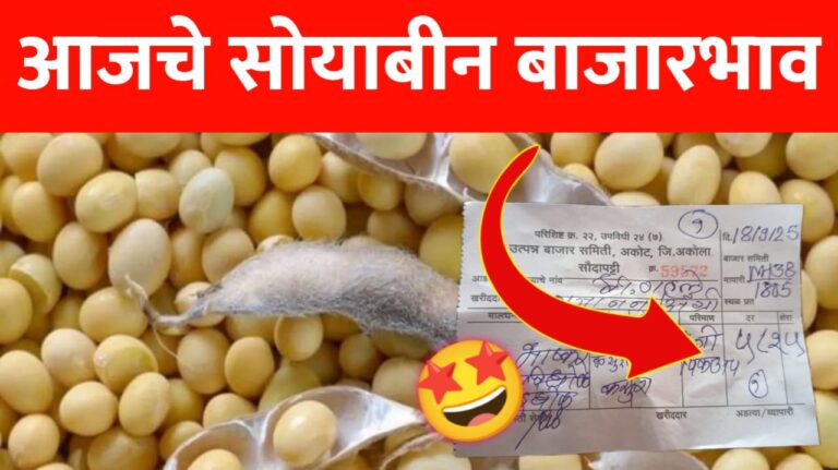 सोयाबीनच्या भावात मोठा बदल, पहा आजचे ताजे सोयाबीन बाजारभाव