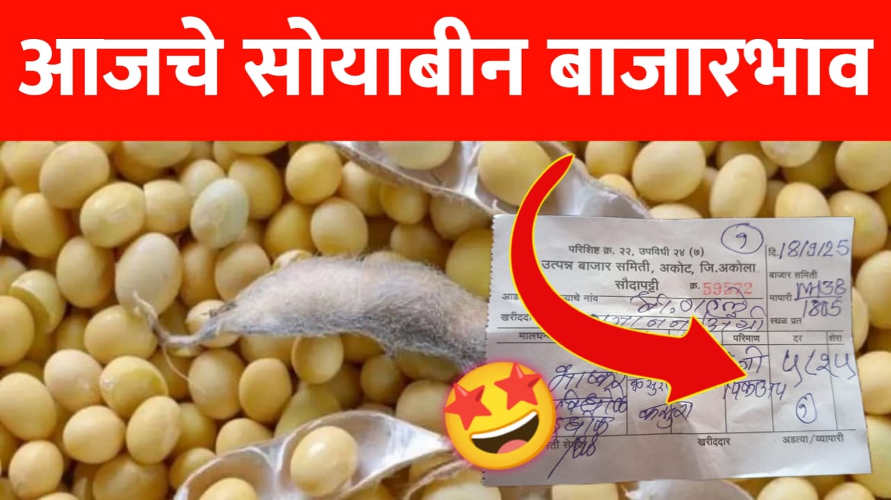 सोयाबीनच्या भावात मोठा बदल, पहा आजचे ताजे सोयाबीन बाजारभाव