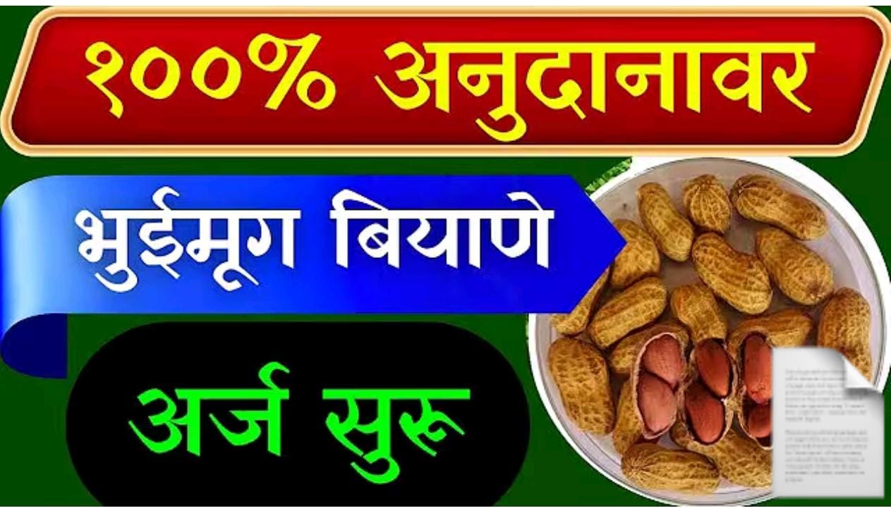 १००% अनुदानावर