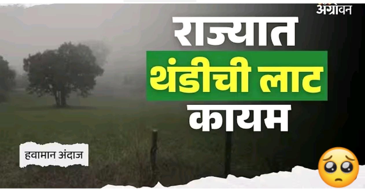 हवामान अपडेट